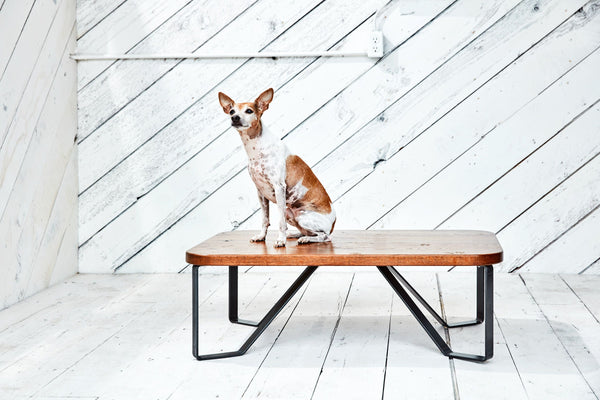 Hunter Coffee Table made by J&S Custom Furniture